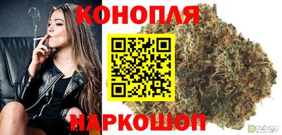 крисы Малоярославец