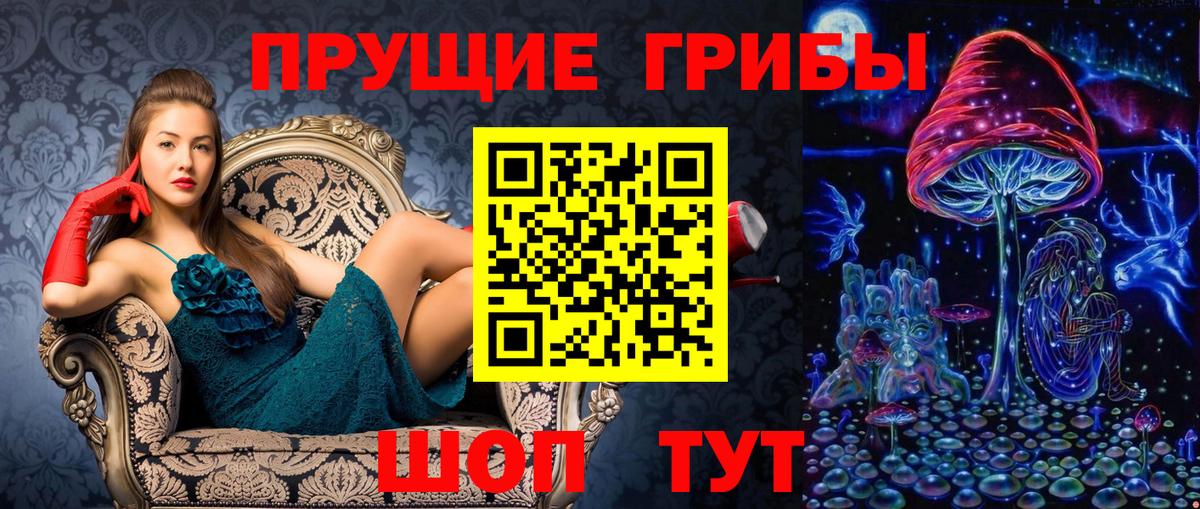 Псилоцибиновые грибы Psilocybine cubensis  купить закладку  Вход с VPN  Владикавказ  Галлюциногенные грибы Cubensis 