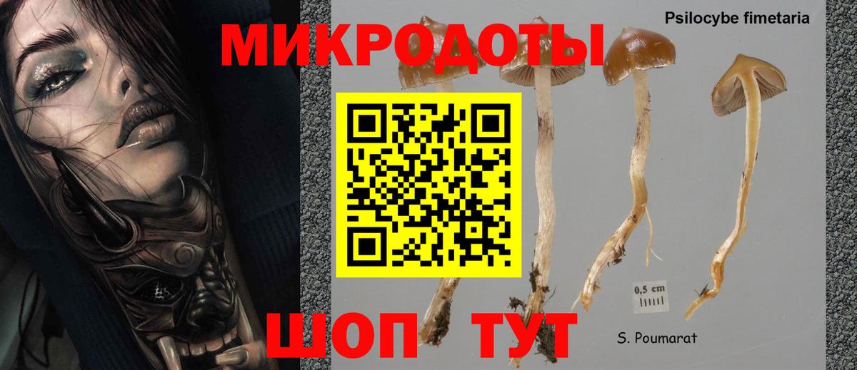 Галлюциногенные грибы мухоморы Владикавказ